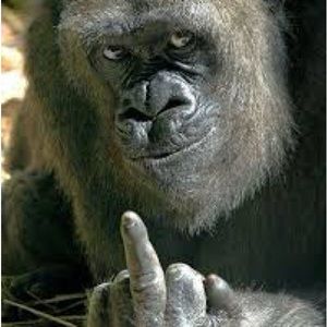 Meet your Posher, Sebastian